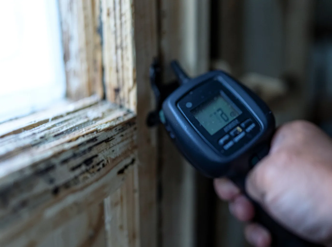 Moisture Inspection And Documentation in Bath, IL